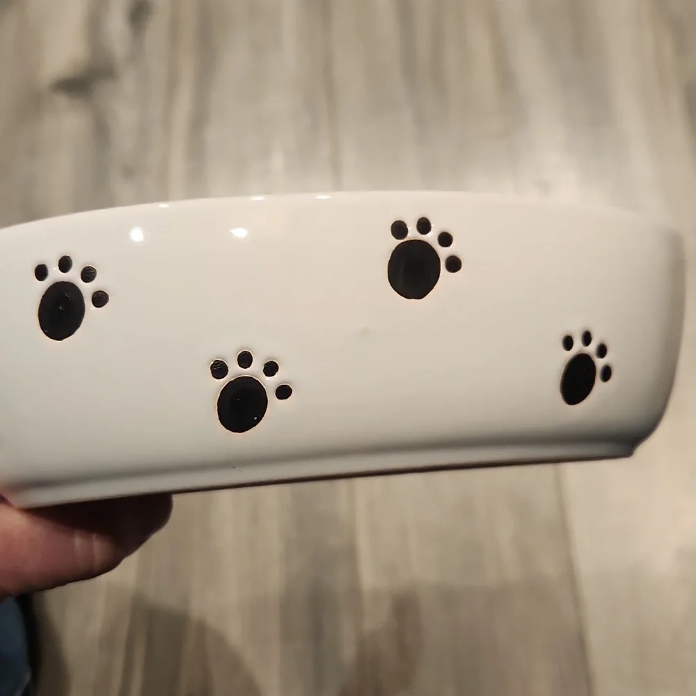 EUC Pet Rageous Design Meow Cat Food Dish No Chips
